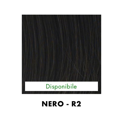 BRAIDED CHIGNON HAIRDO