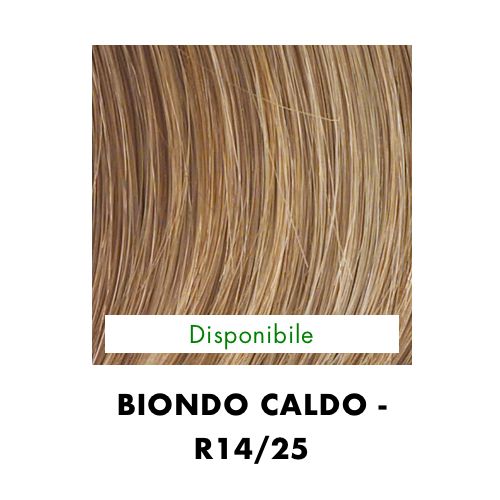 BRAIDED CHIGNON HAIRDO