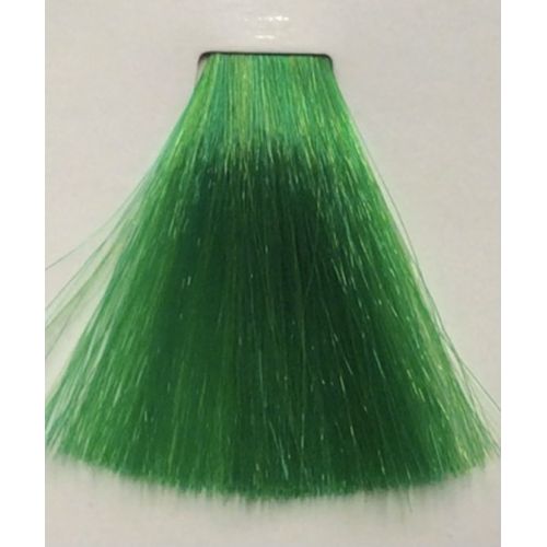 COLOR SWITCH Pigmento 150 ml