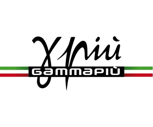 GAMMAPIU'